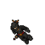 Assassins