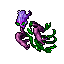 Countess Sorrow