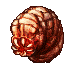Rotworm Queen