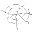 50x Spider Silk