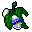 25x Holy Orchid